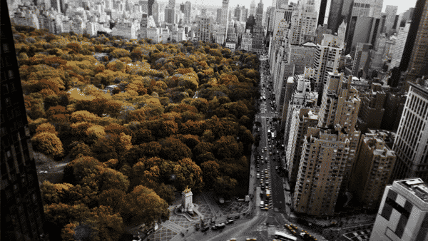 Stage à New York : une expérience « amazing »