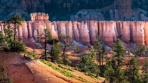 Les plus beaux parcs nationaux des USA à découvrir