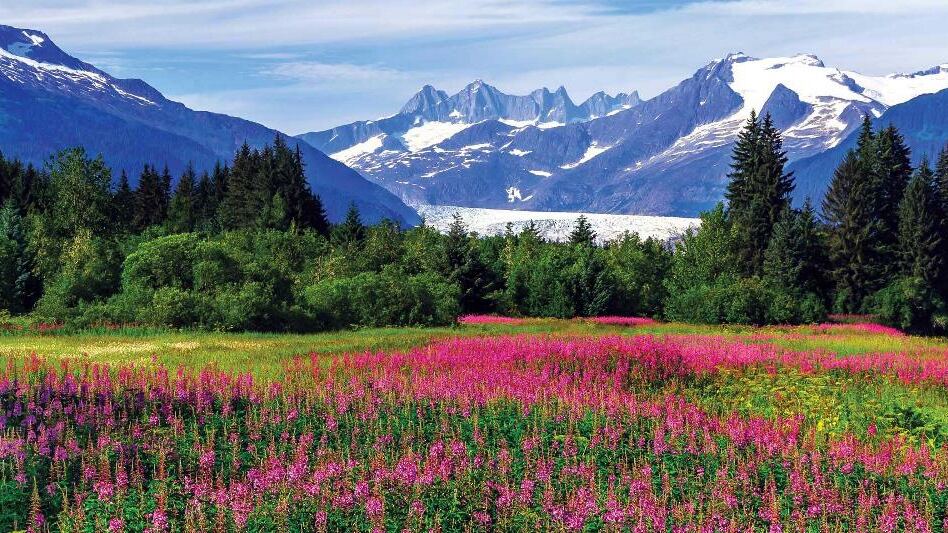 L’Alaska, l’état sauvage à découvrir pendant ton stage aux USA – Partie II