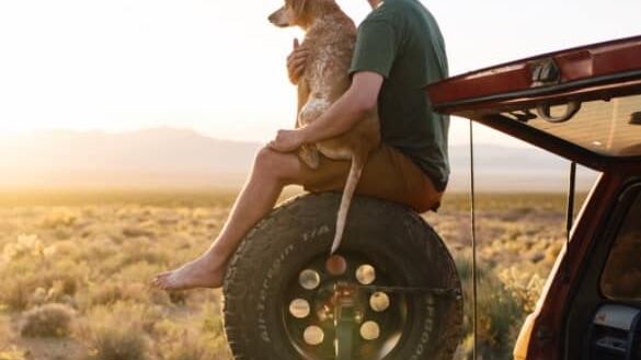 Ce photographe parcours les USA avec son chien rescap&eacute;