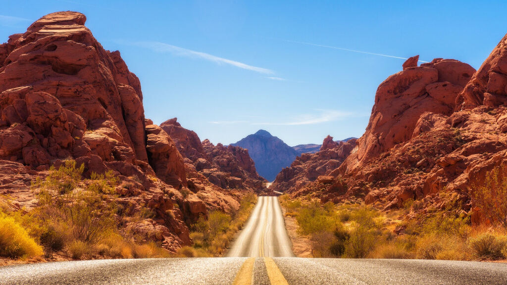 Les tendances en matière de destinations pour les stages aux USA en 2024